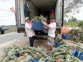 Ở đâu chuyên nhận vận tại nông sản tại bến cát chất lượng uy tín	