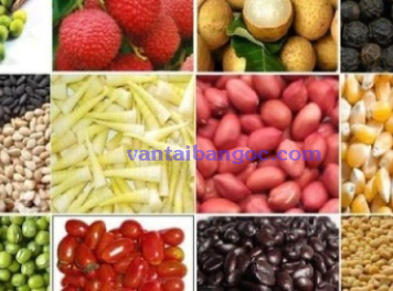 Vận chuyển hàng nông sản